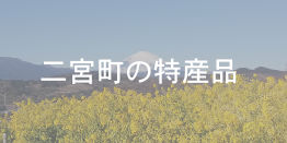 ninomiya-banner